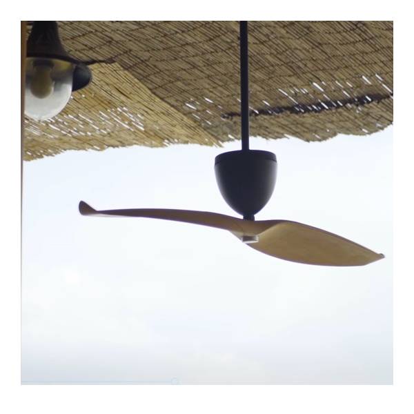 Ventilateur Plafond Albatros (L)